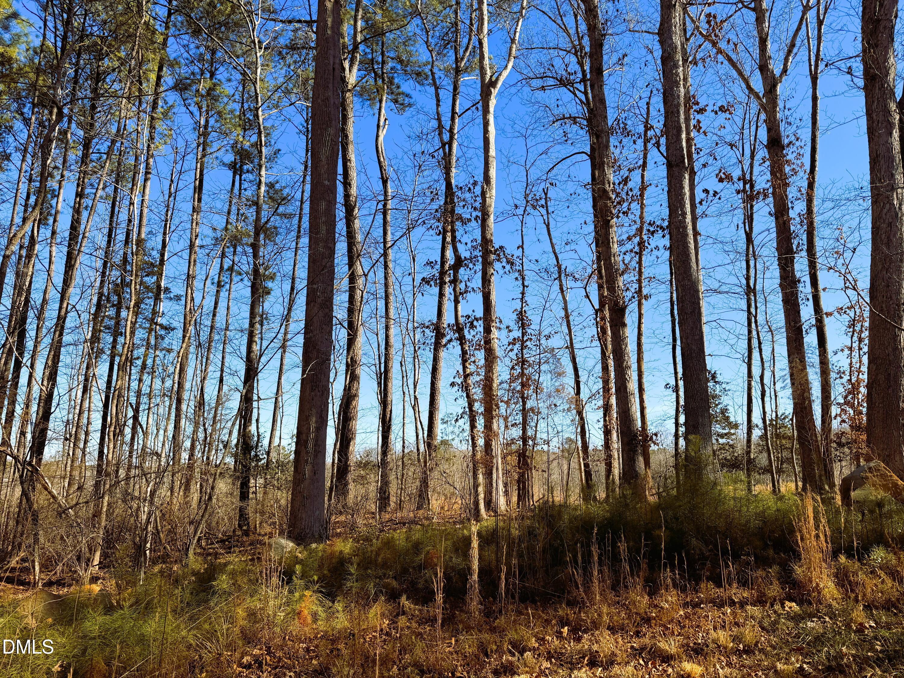 318 Jones Ferry Road Pittsboro, NC 27312 - Photo 5 of 17 a view of outdoor area