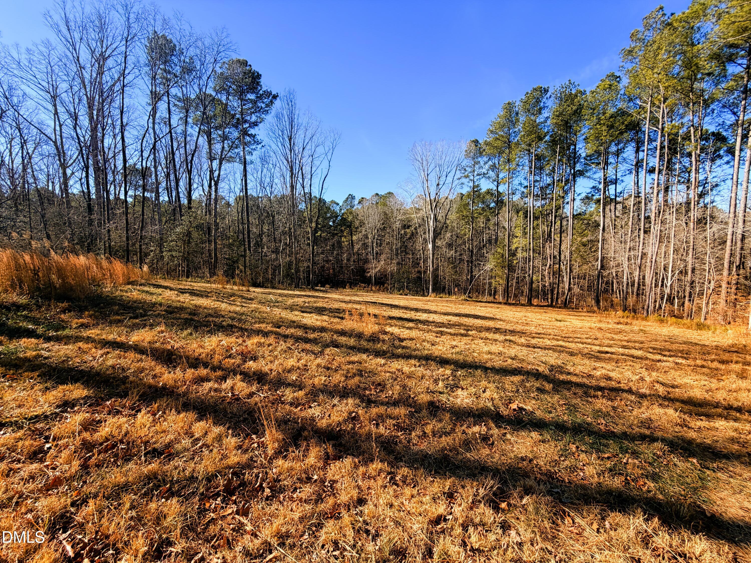 318 Jones Ferry Road Pittsboro, NC 27312 - Photo 6 of 17 a view of outdoor space with trees