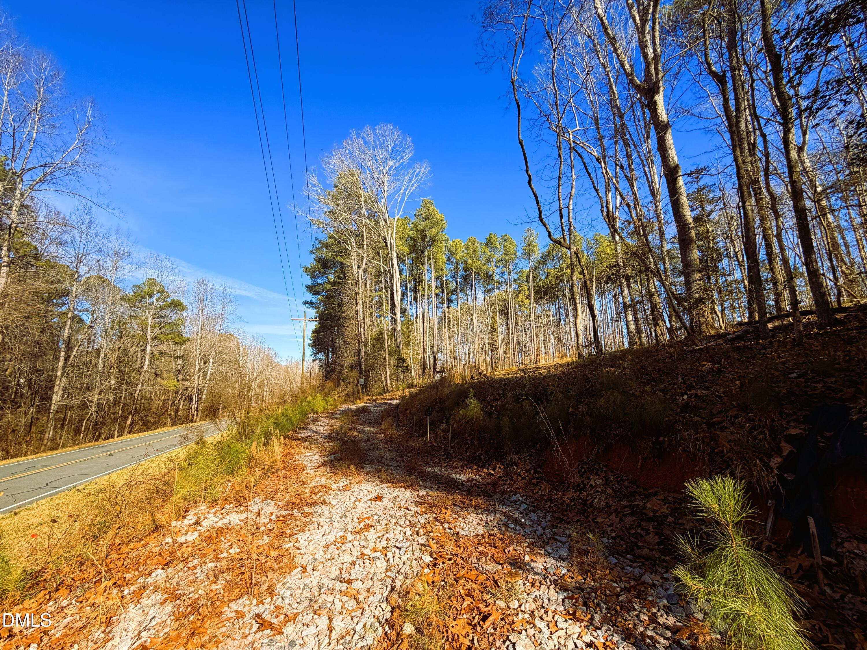 318 Jones Ferry Road Pittsboro, NC 27312 - Photo 10 of 17 a view of outdoor space and yard