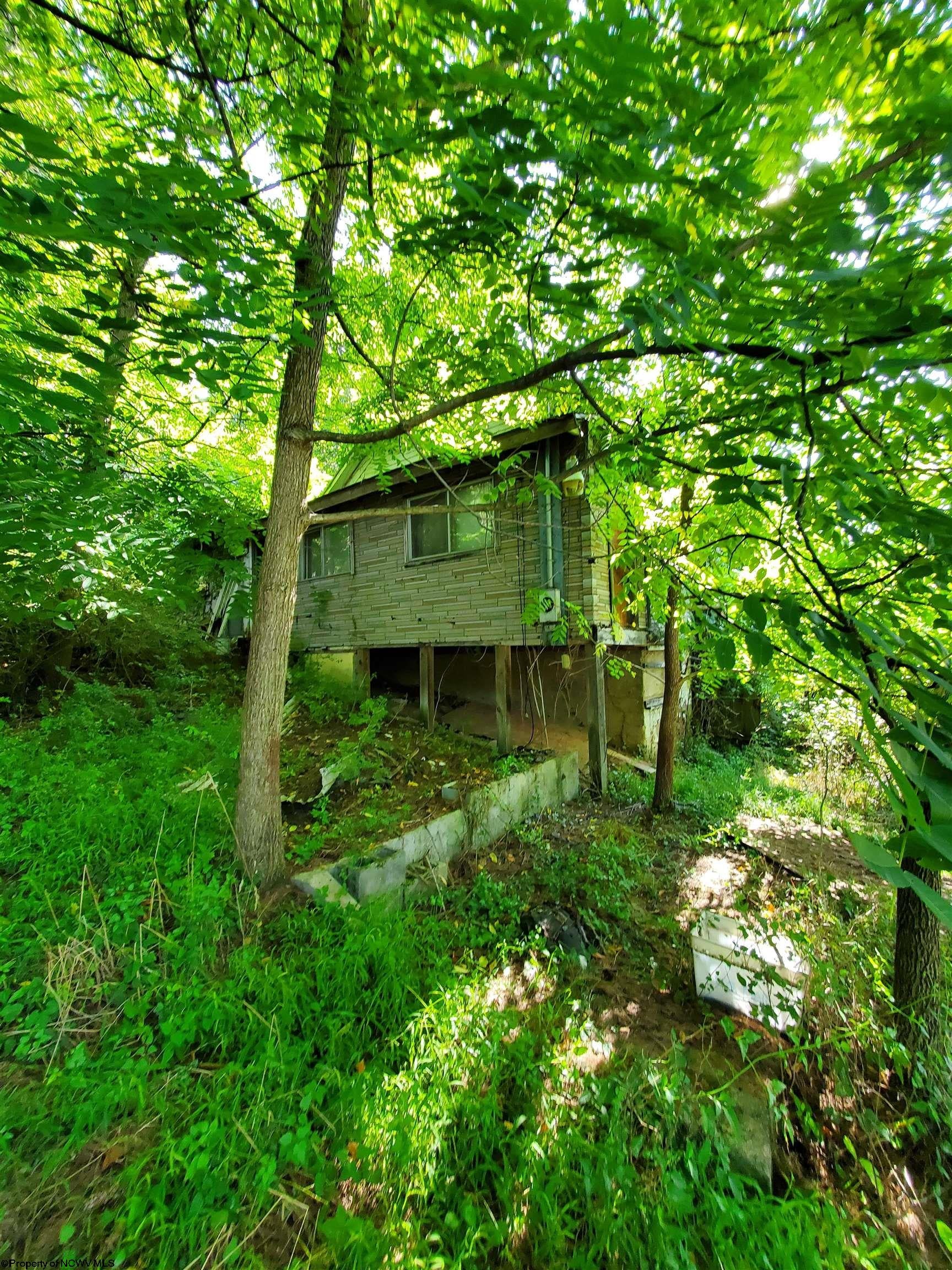 Tbd Hendricks Hill Road Hambleton, WV 26269 - Photo 6 of 11 Gallery Image 6