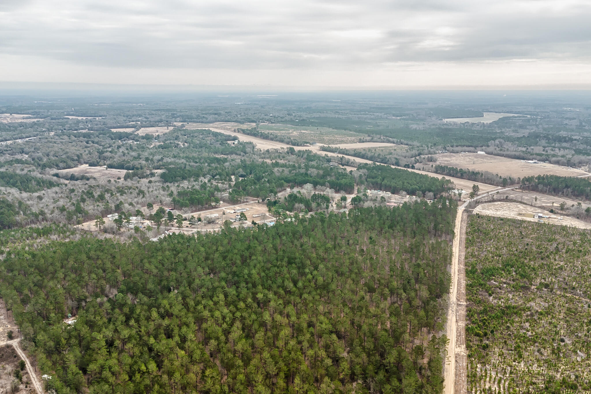 0 Otis Baughman Sr Road Wagener, SC 29164 - Photo 6 of 11