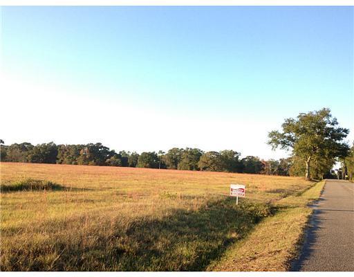Lot A Lot A Road Saucier, MS 39574 - Photo 1 of 12 Primary Photo
