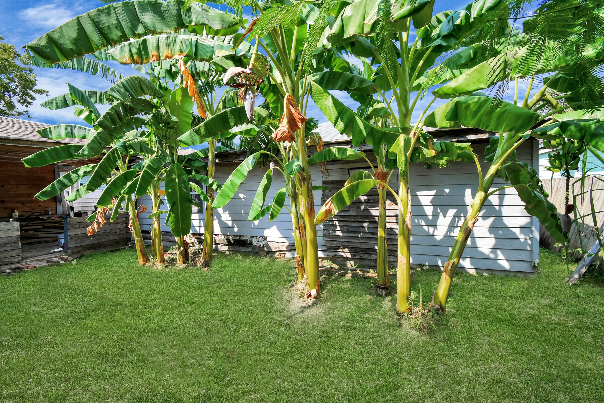 7908 John Street Houston, TX 77012 - Photo 7 of 30 a view of a park with bench