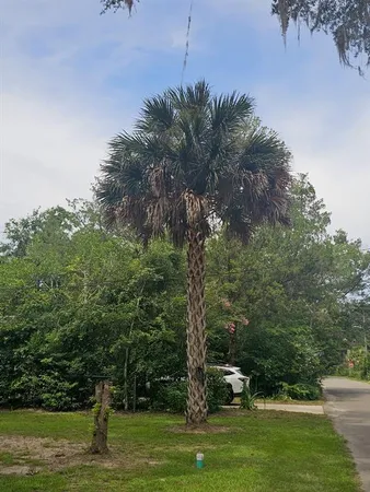 a view of a grassy field with trees