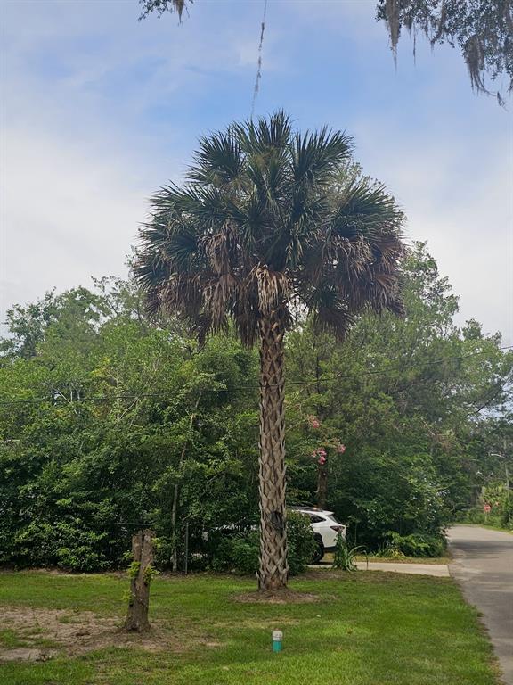 903 Northwest 33rd Avenue Gainesville, FL 32609 - Photo 20 of 23 a view of a grassy field with trees