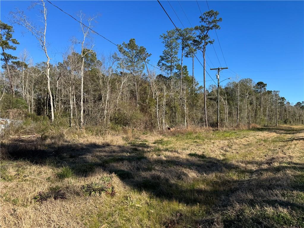 36249 Highway 433 Slidell, LA 70460 - Photo 4 of 5