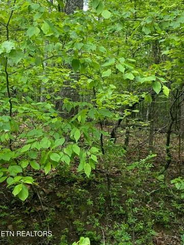 $10,000 | 614 Catawba Lane, Crossville, TN 38572