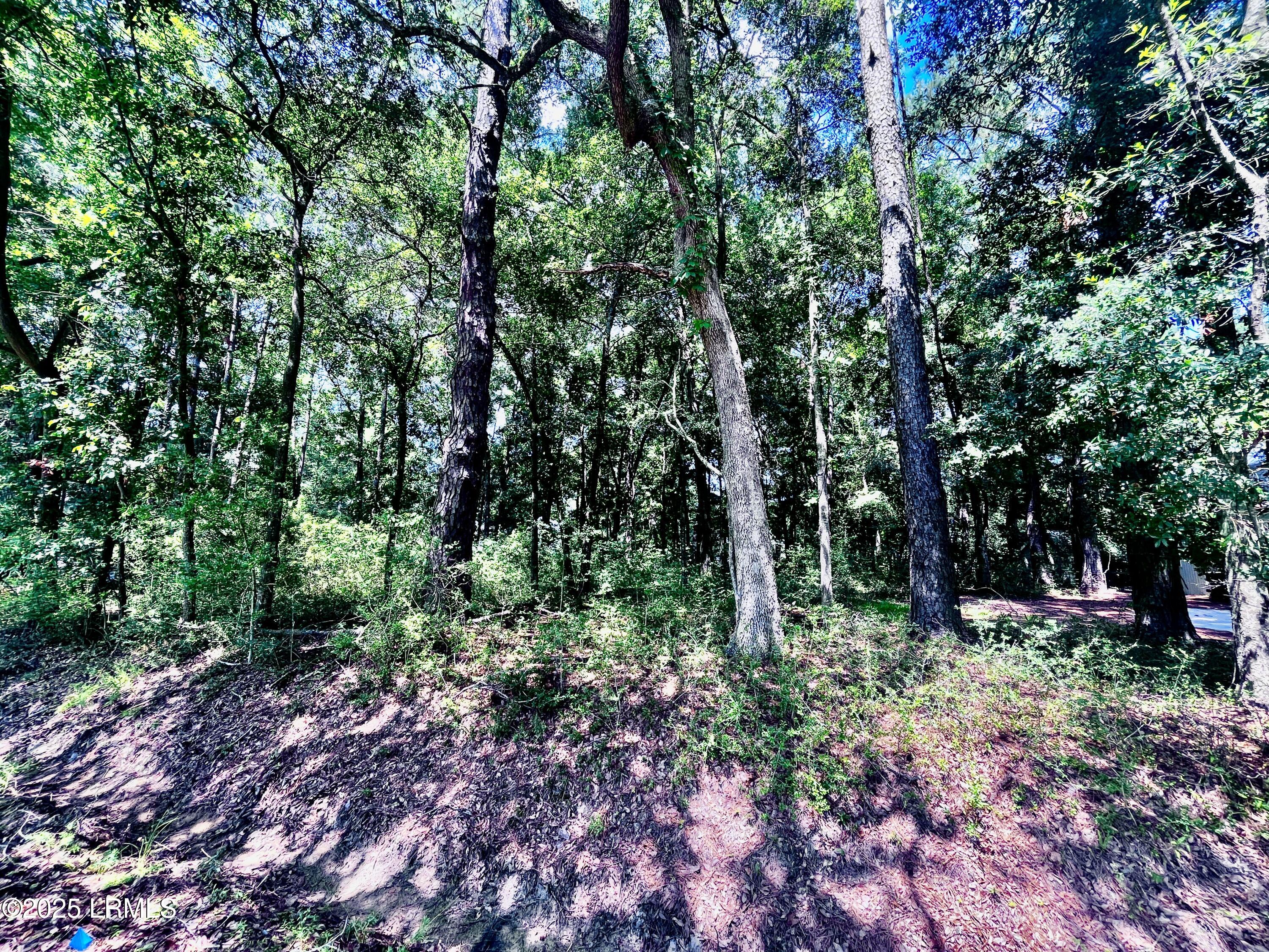 9 East River Drive Beaufort, SC 29907 - Photo 3 of 4 Wooded