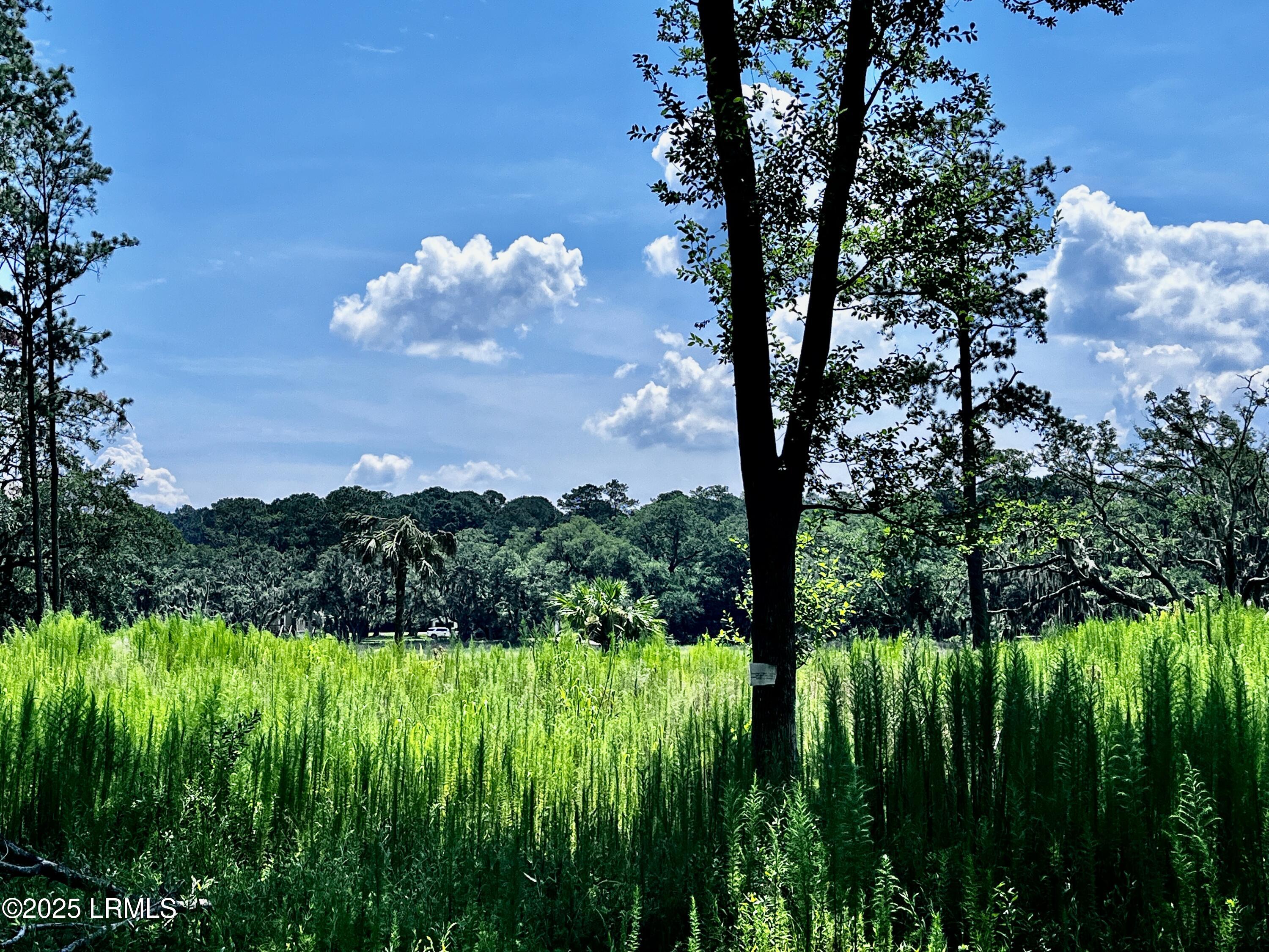 9 East River Drive Beaufort, SC 29907 - Photo 4 of 4 Across the street view