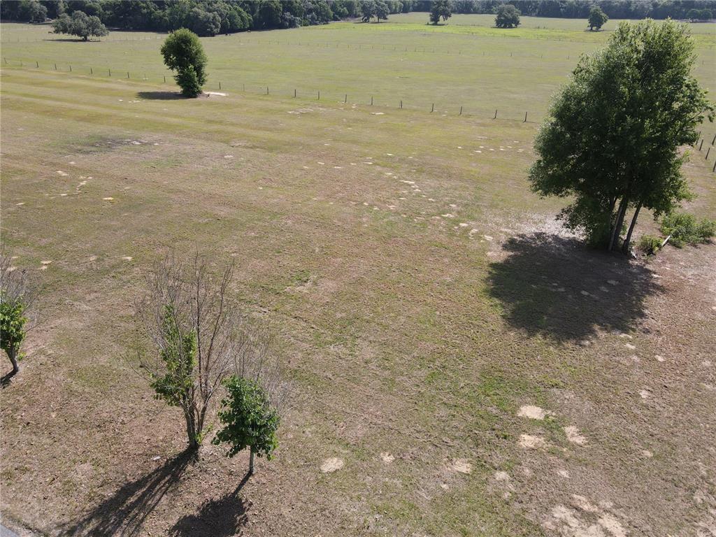 2 Smith Road Dade City, FL 33525 - Photo 6 of 26 Gallery Image 6