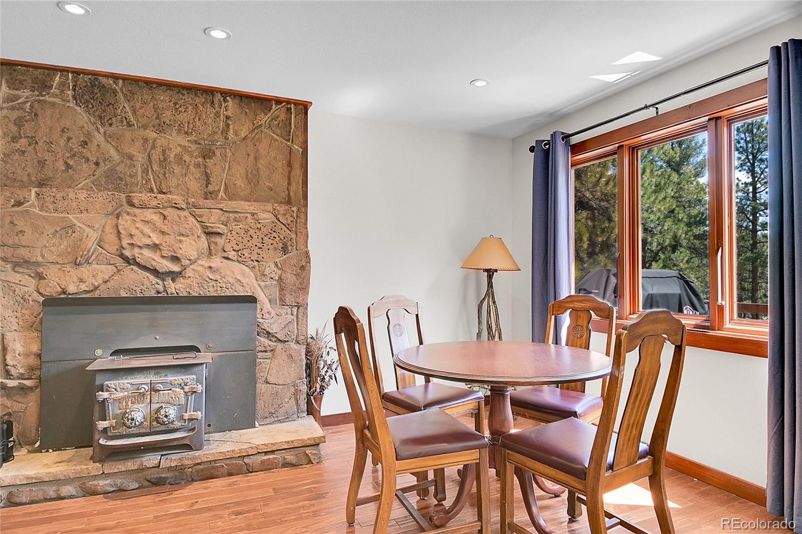 700 Rosalie Road Bailey, CO 80421 - Photo 12 of 39