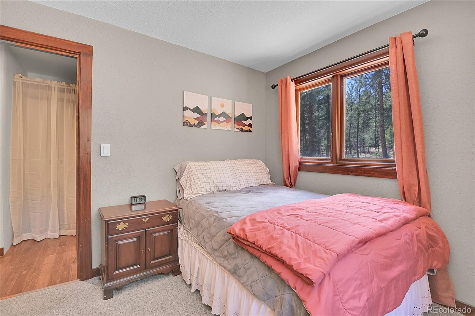 700 Rosalie Road Bailey, CO 80421 - Photo 19 of 39