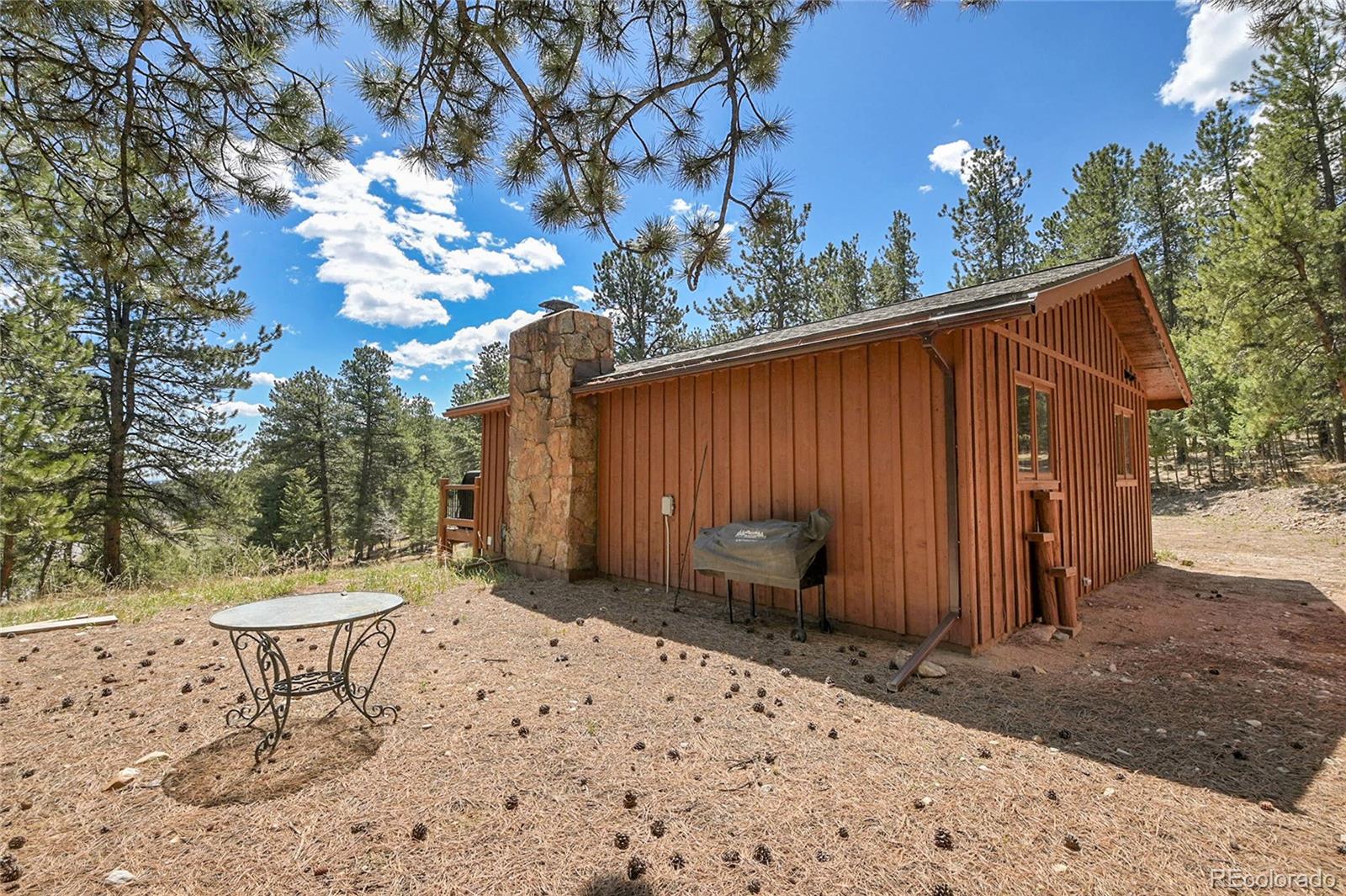 700 Rosalie Road Bailey, CO 80421 - Photo 27 of 39