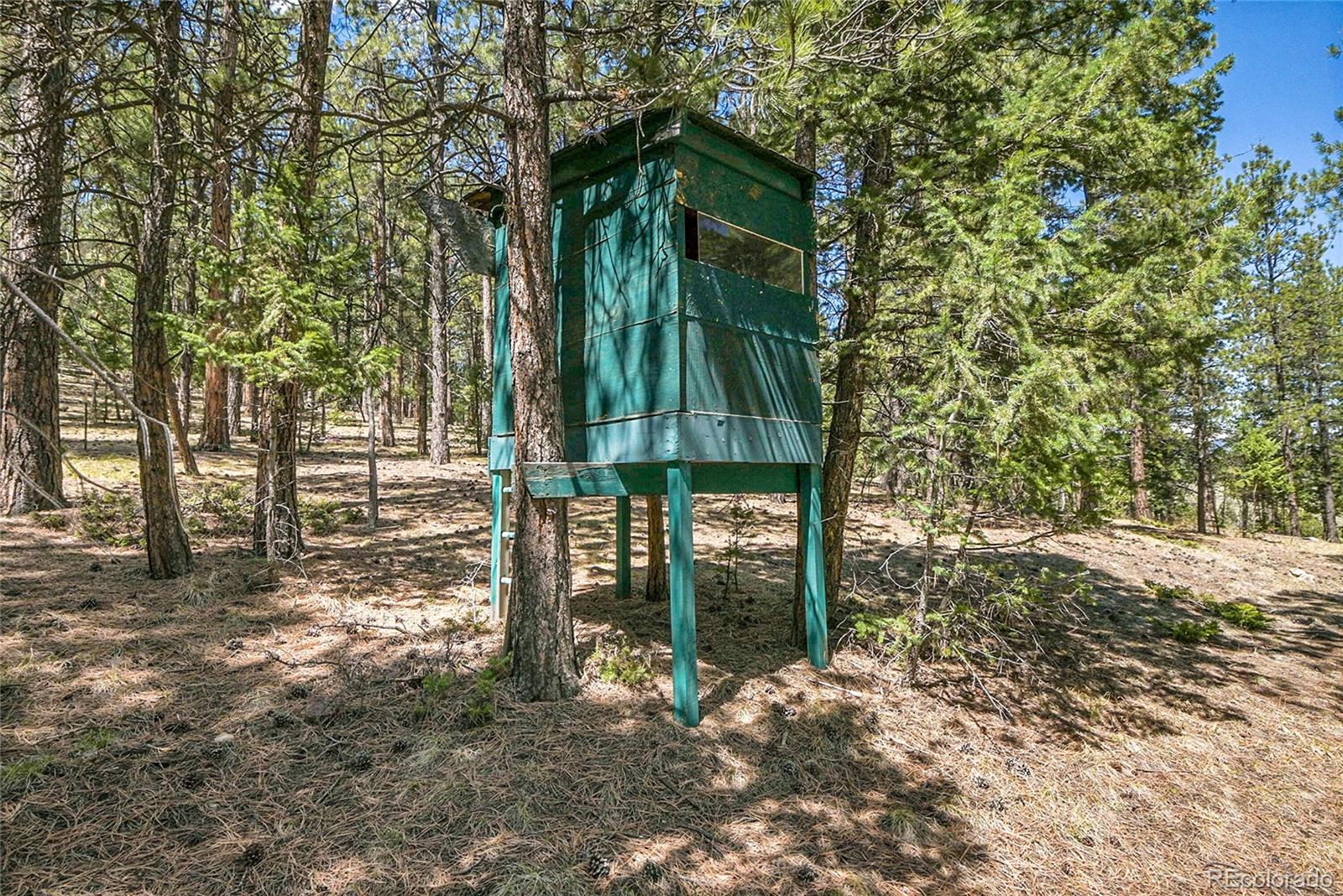 700 Rosalie Road Bailey, CO 80421 - Photo 29 of 39