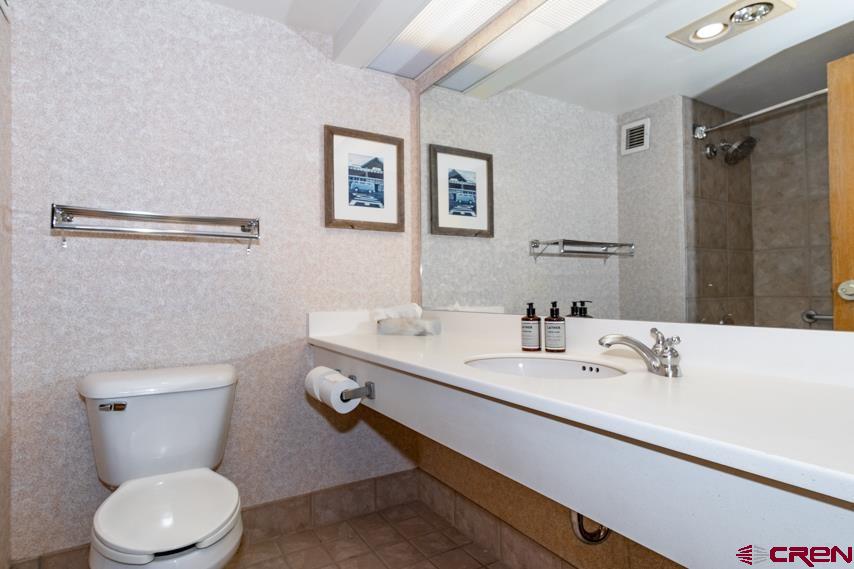 6 Emmons Road, Unit 565 Crested Butte, CO 81225 - Photo 16 of 34 Gallery Image 16