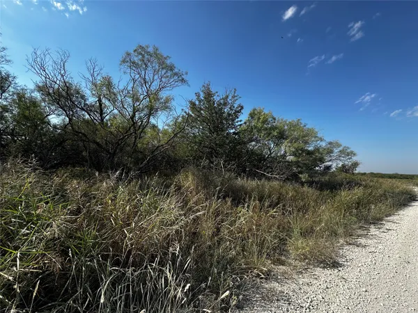 a view of a lake with a tree in the background