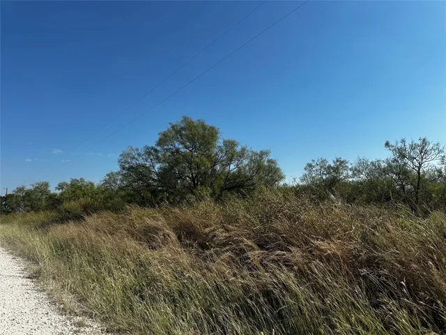 a view of a forest with a houses