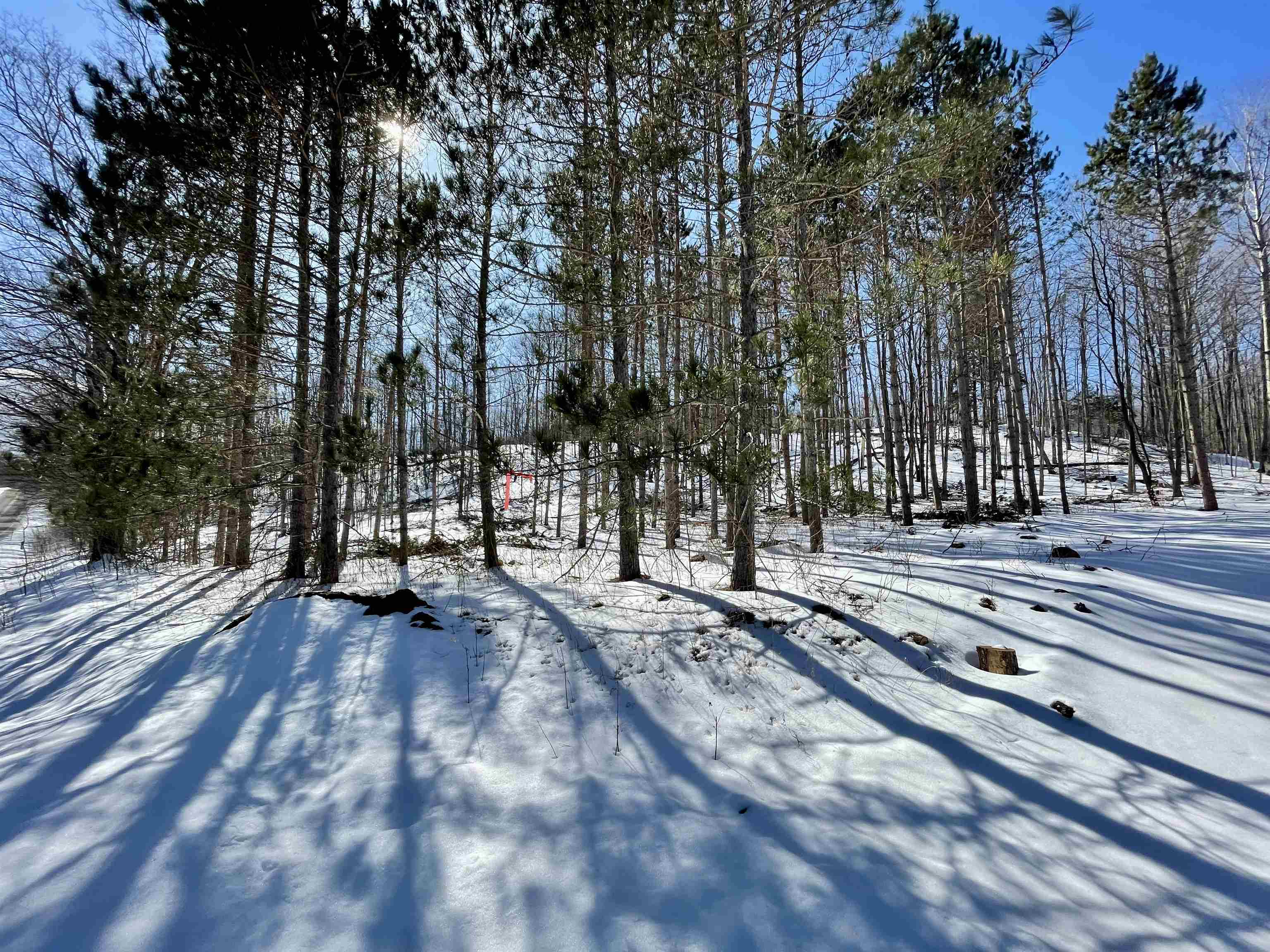 South Wheeler Road Maple City, MI 49664 - Photo 5 of 19