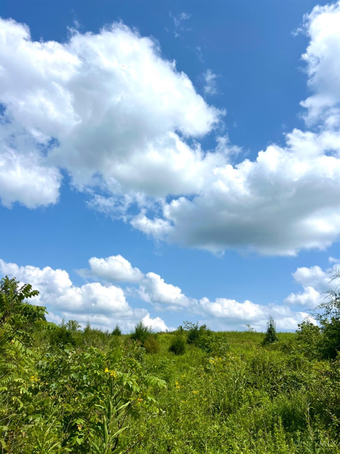 0 Brier Ridge Road West Union, OH 45693 - Photo 21 of 98