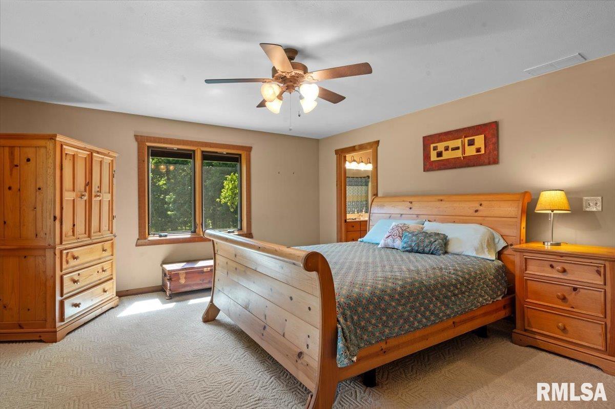 3880 Moose Cry Road Auburn, IL 62615 - Photo 35 of 74