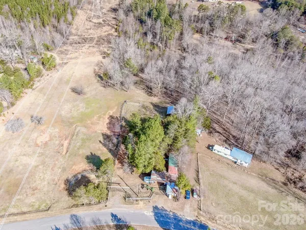 a plant that is sitting in the middle of a field