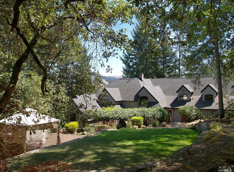 a view of house with a yard and potted plants