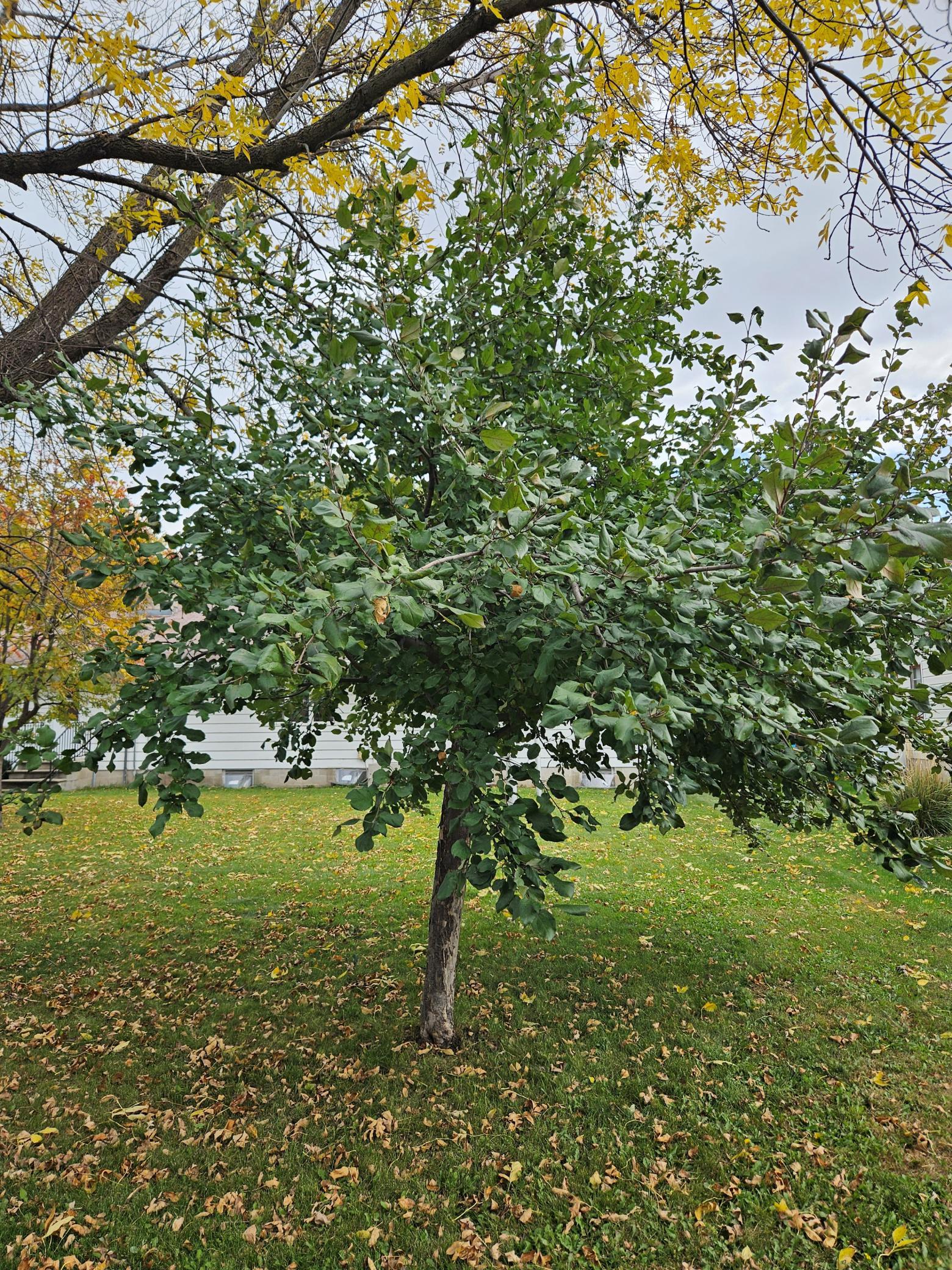 105 Robert Street Elrosa, MN 56325 - Photo 24 of 35