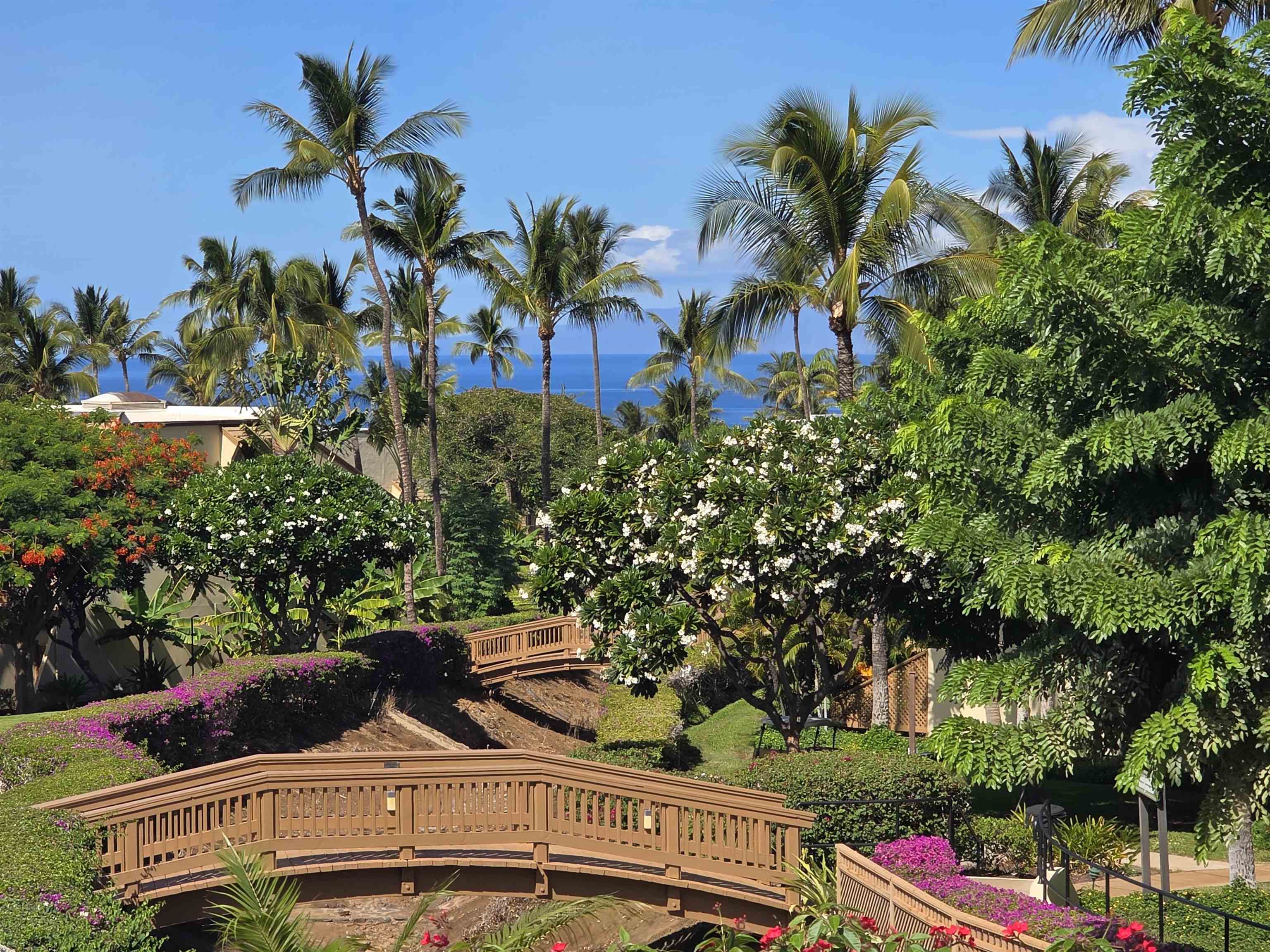 2777 South Kihei Road, Unit F203 Kihei, HI 96753 - Photo 2 of 37 a view of a yard with plants