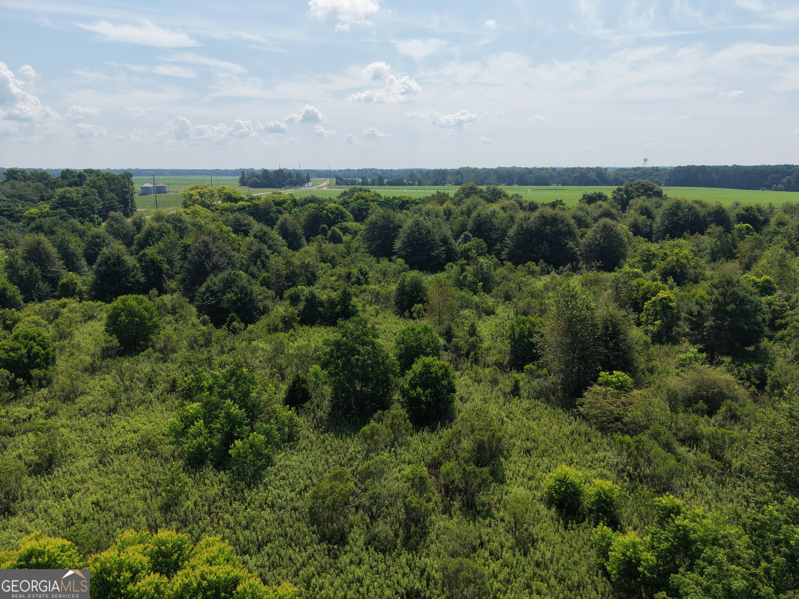 960 Elko Road Unadilla, GA 31091 - Photo 5 of 14