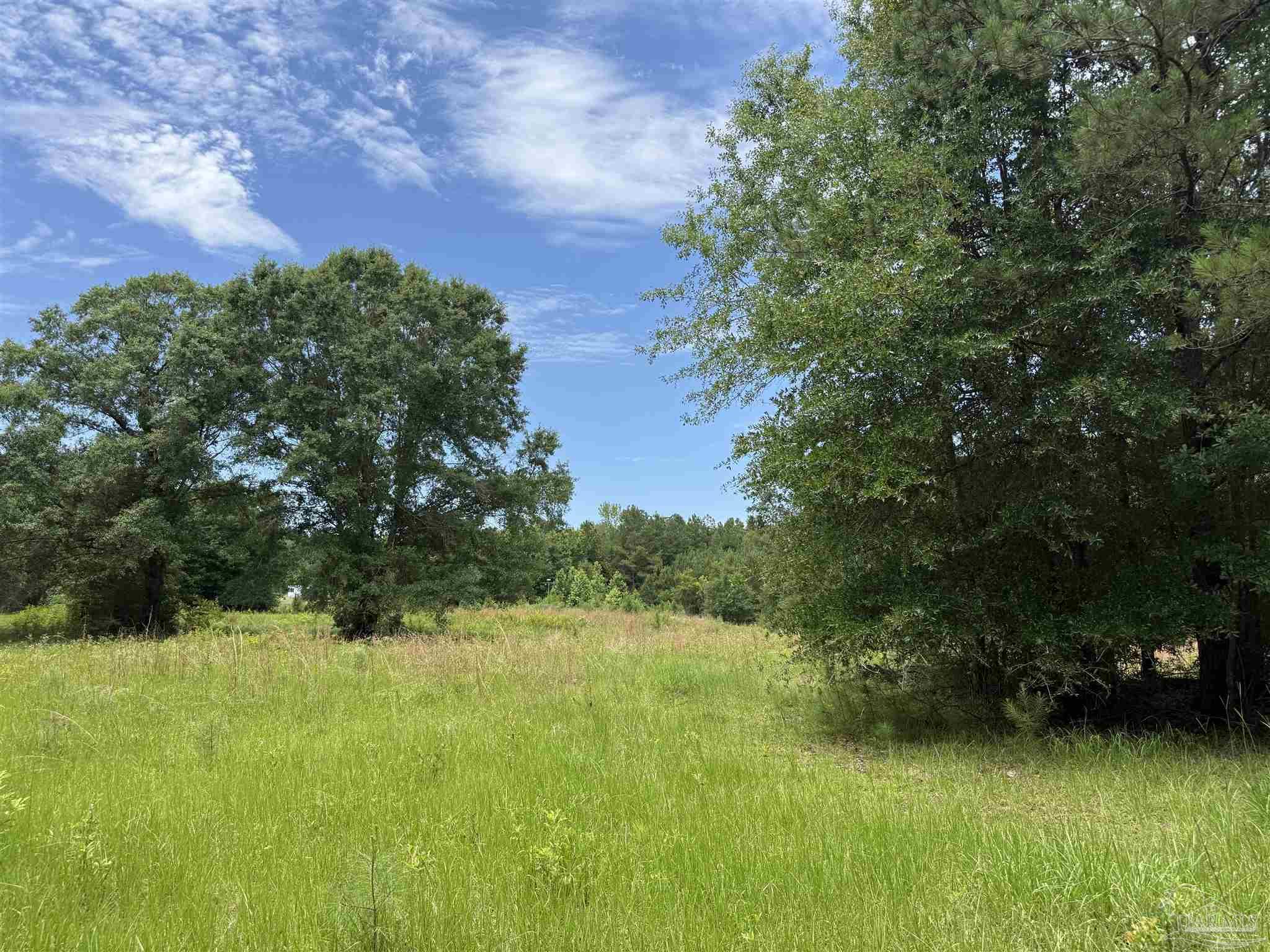 296 Salters Lake Road Century, FL 32535 - Photo 31 of 34