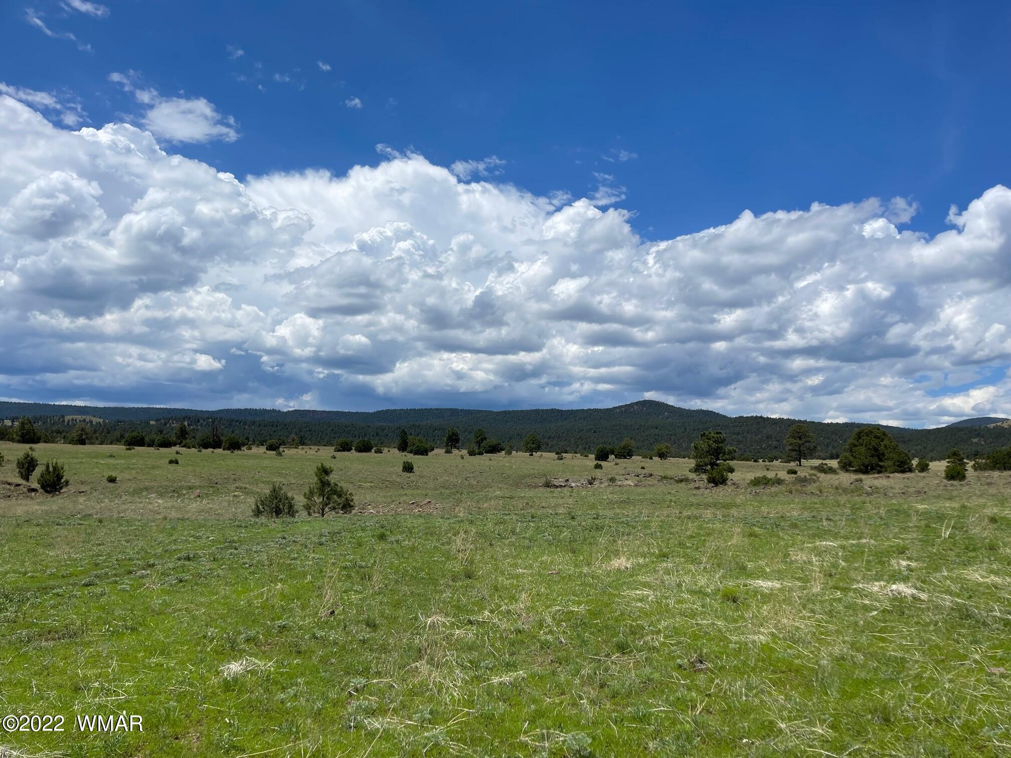 2 County Road Greer, AZ 85927 - Photo 1 of 6
