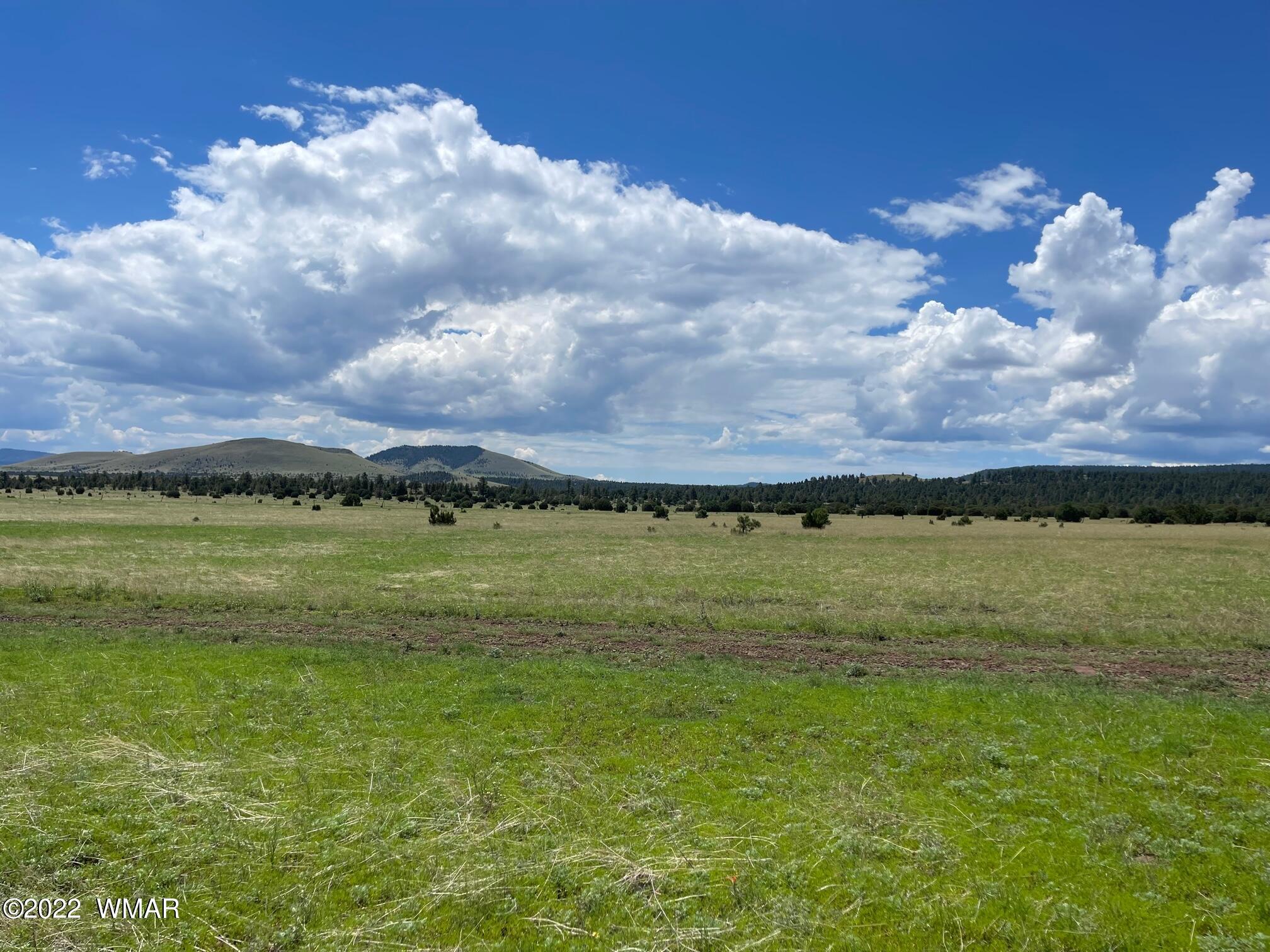 2 County Road Greer, AZ 85927 - Photo 3 of 6