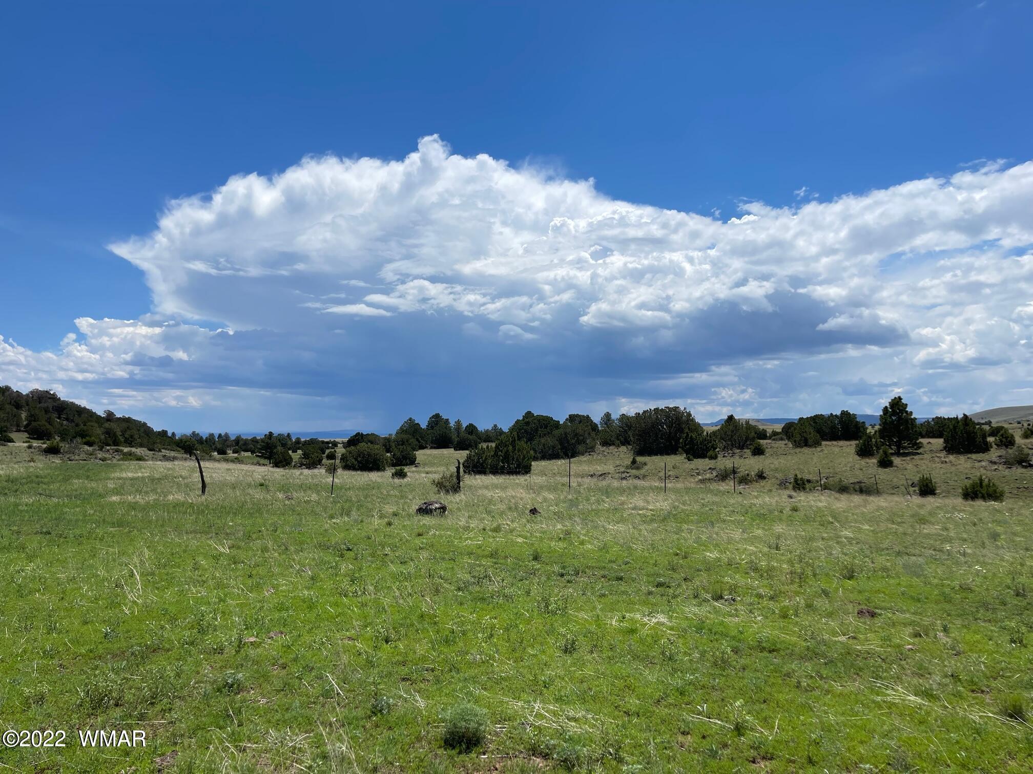 2 County Road Greer, AZ 85927 - Photo 4 of 6