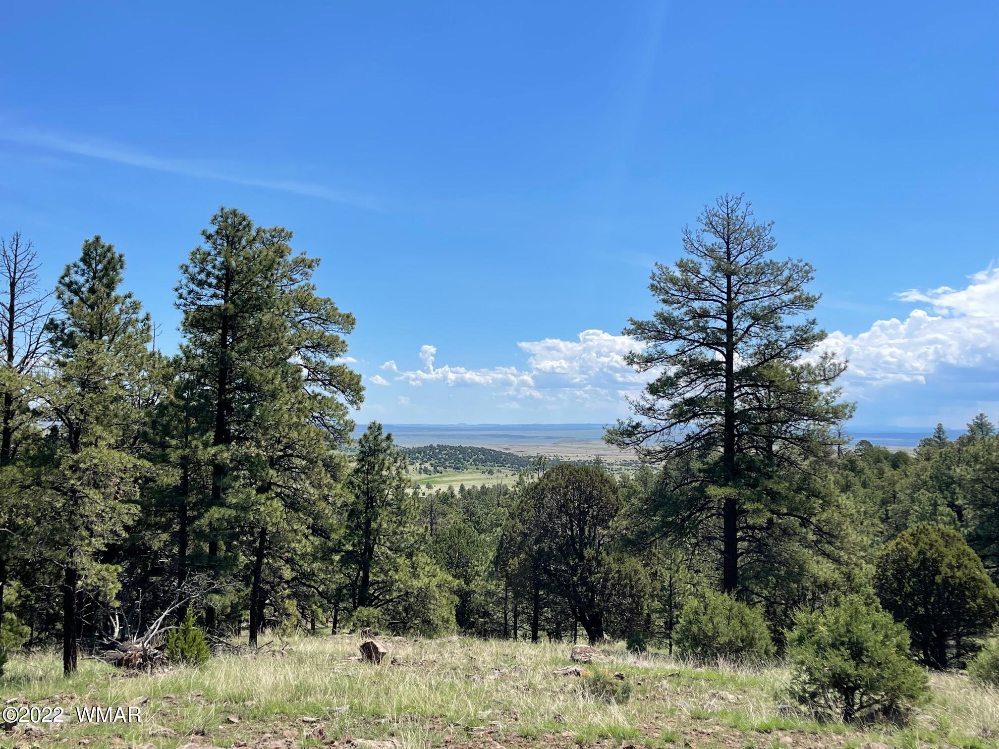 2 County Road Greer, AZ 85927 - Photo 5 of 6