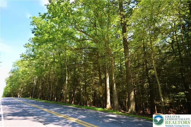 a view of outdoor space with trees