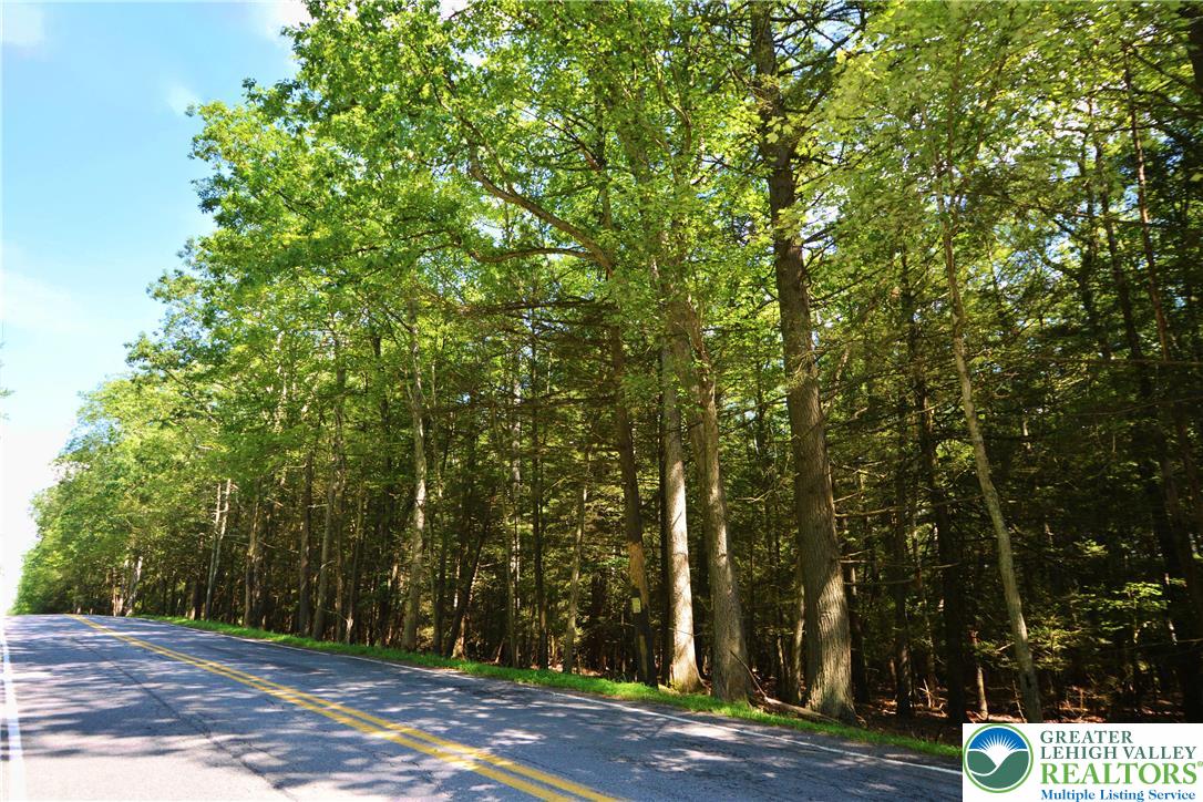a view of outdoor space with trees