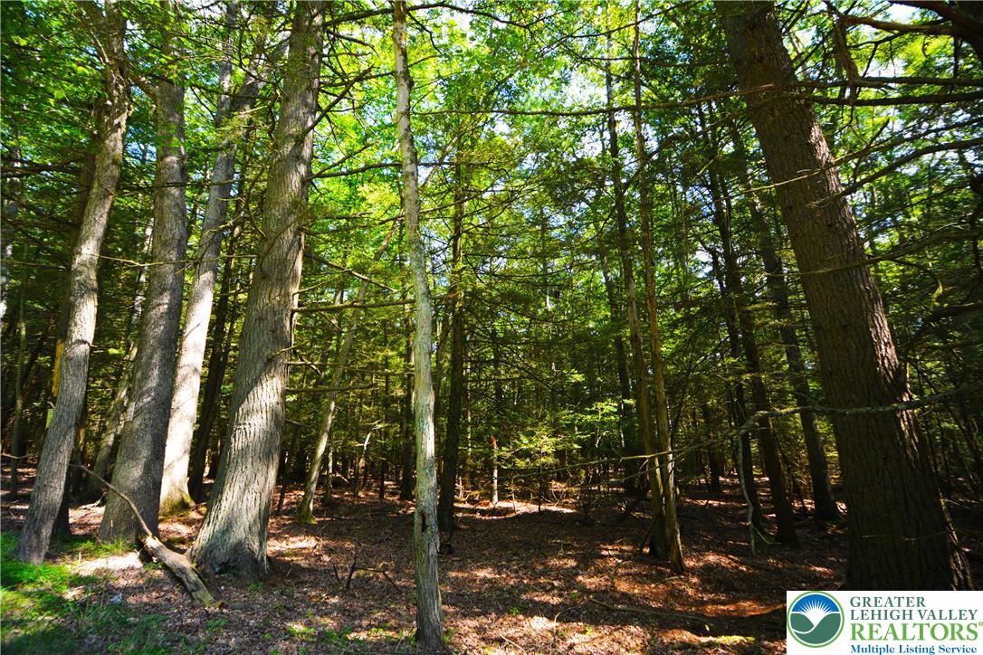 North Church And Buck Mountain Road Weatherly, PA 18255 - Photo 2 of 7