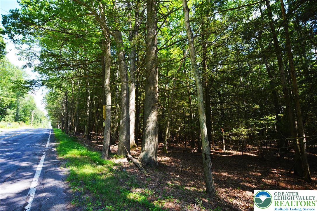 North Church And Buck Mountain Road Weatherly, PA 18255 - Photo 3 of 7 a backyard of a house with lots of green space