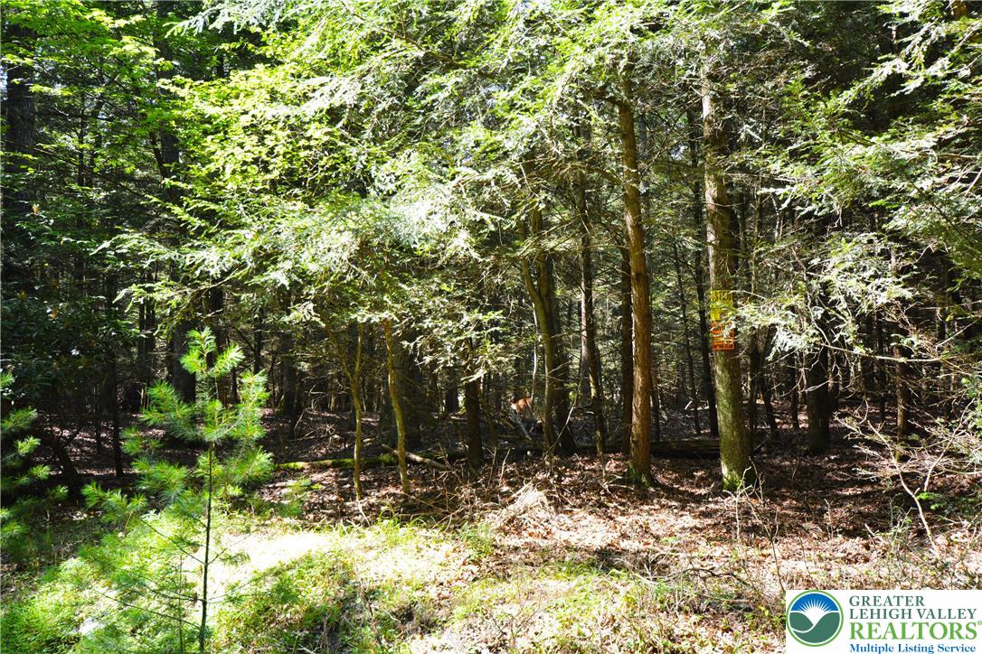 North Church And Buck Mountain Road Weatherly, PA 18255 - Photo 4 of 7 a view of outdoor space
