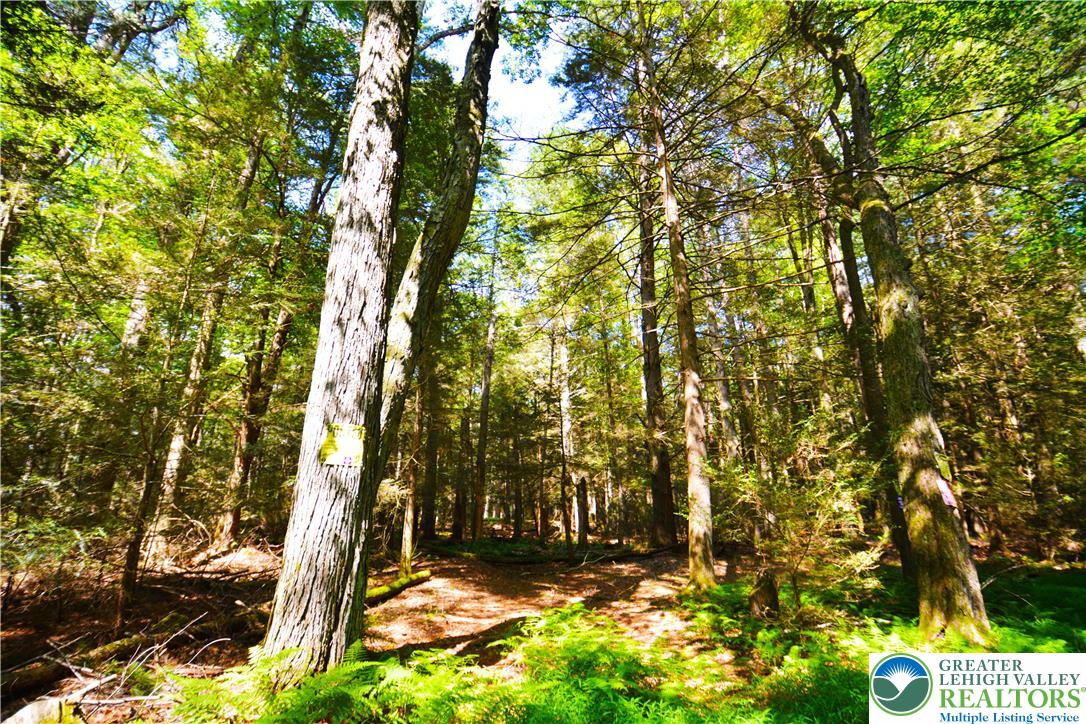 North Church And Buck Mountain Road Weatherly, PA 18255 - Photo 6 of 7 a view of outdoor space and a yard
