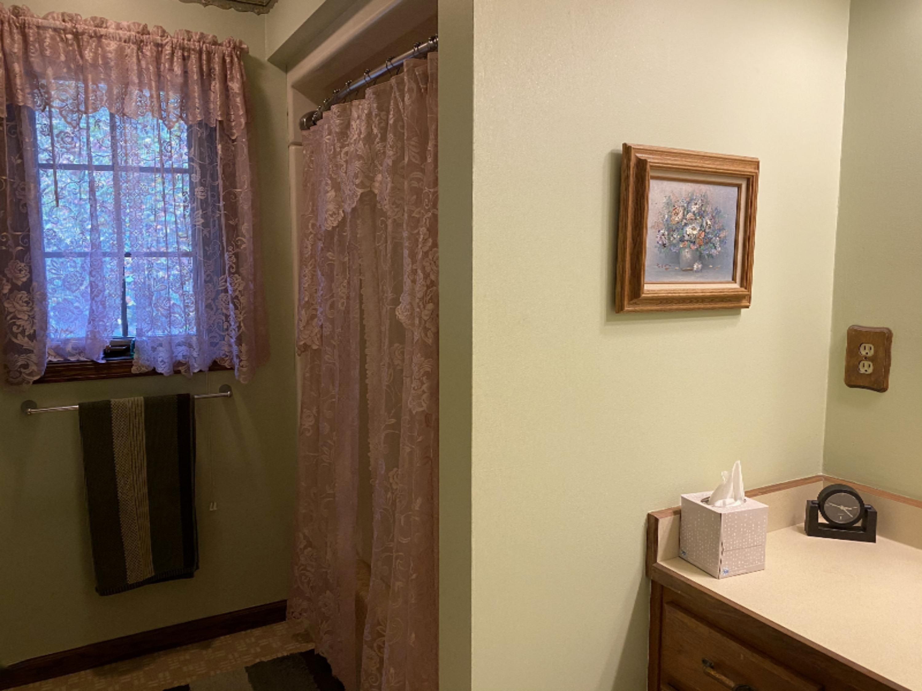 2131 West Burt Road Camden, MI 49232 - Photo 24 of 40 2131 W Burt (9)