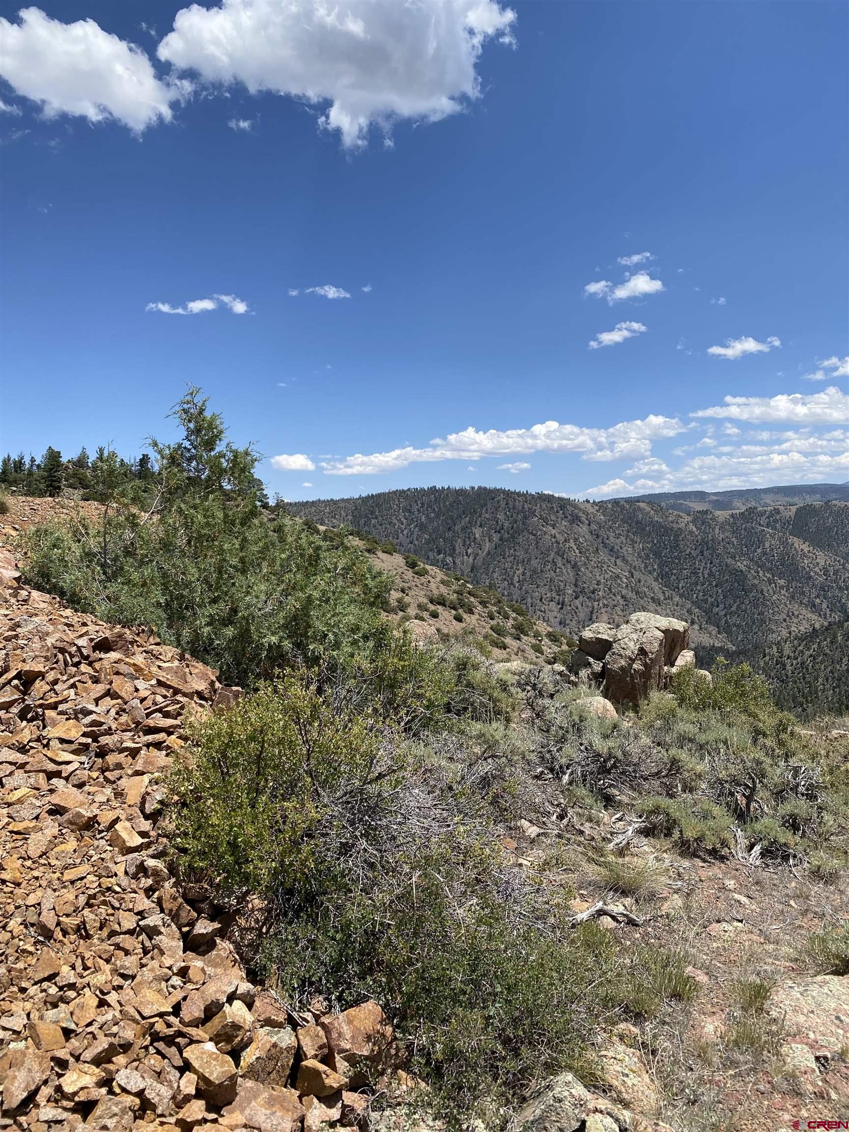 Tbd Tbd Goose Creek Road Gunnison, CO 81230 - Photo 16 of 17 a view of a room has a tree