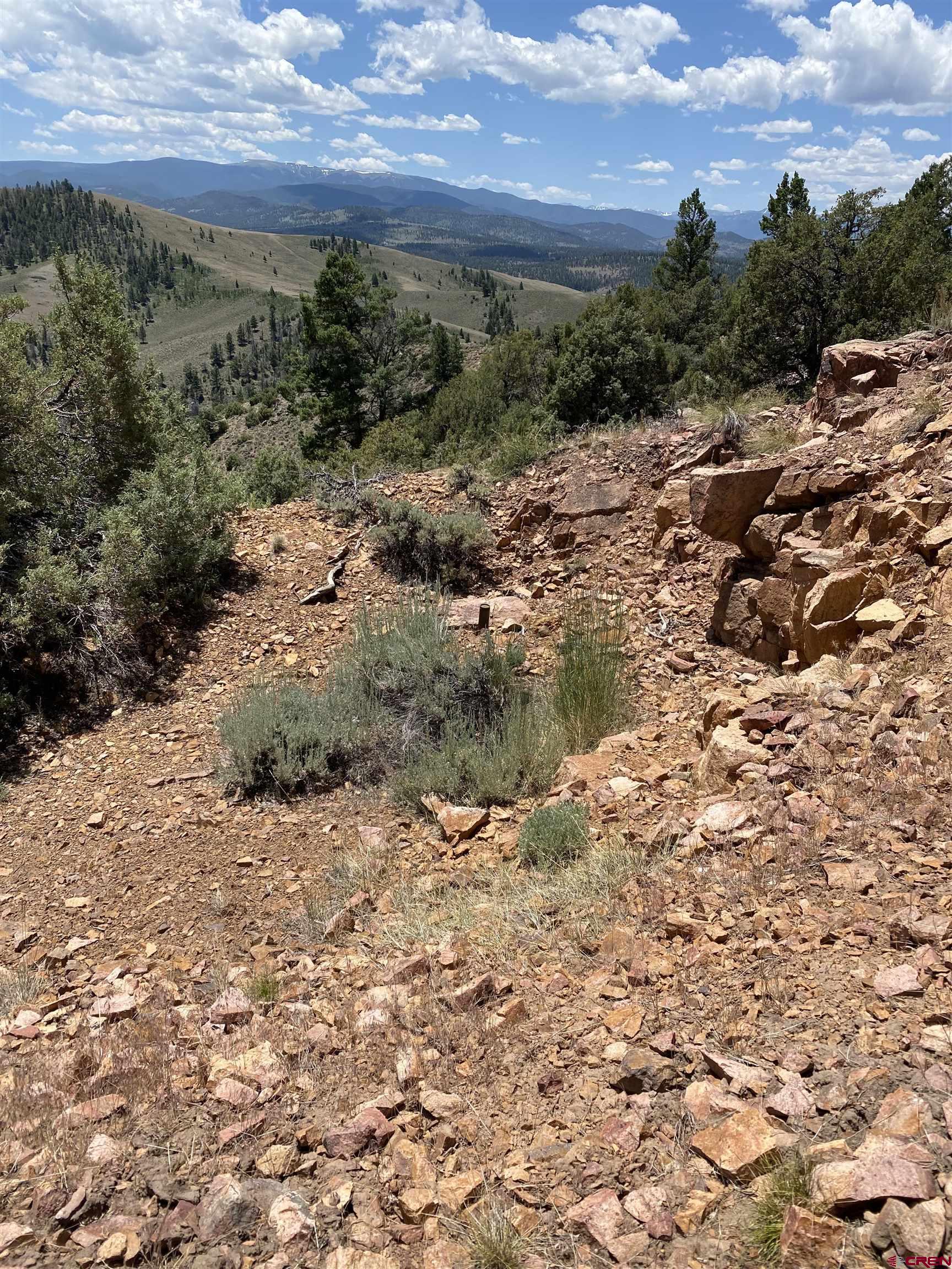 Tbd Tbd Goose Creek Road Gunnison, CO 81230 - Photo 3 of 17 a view of a yard with a tree