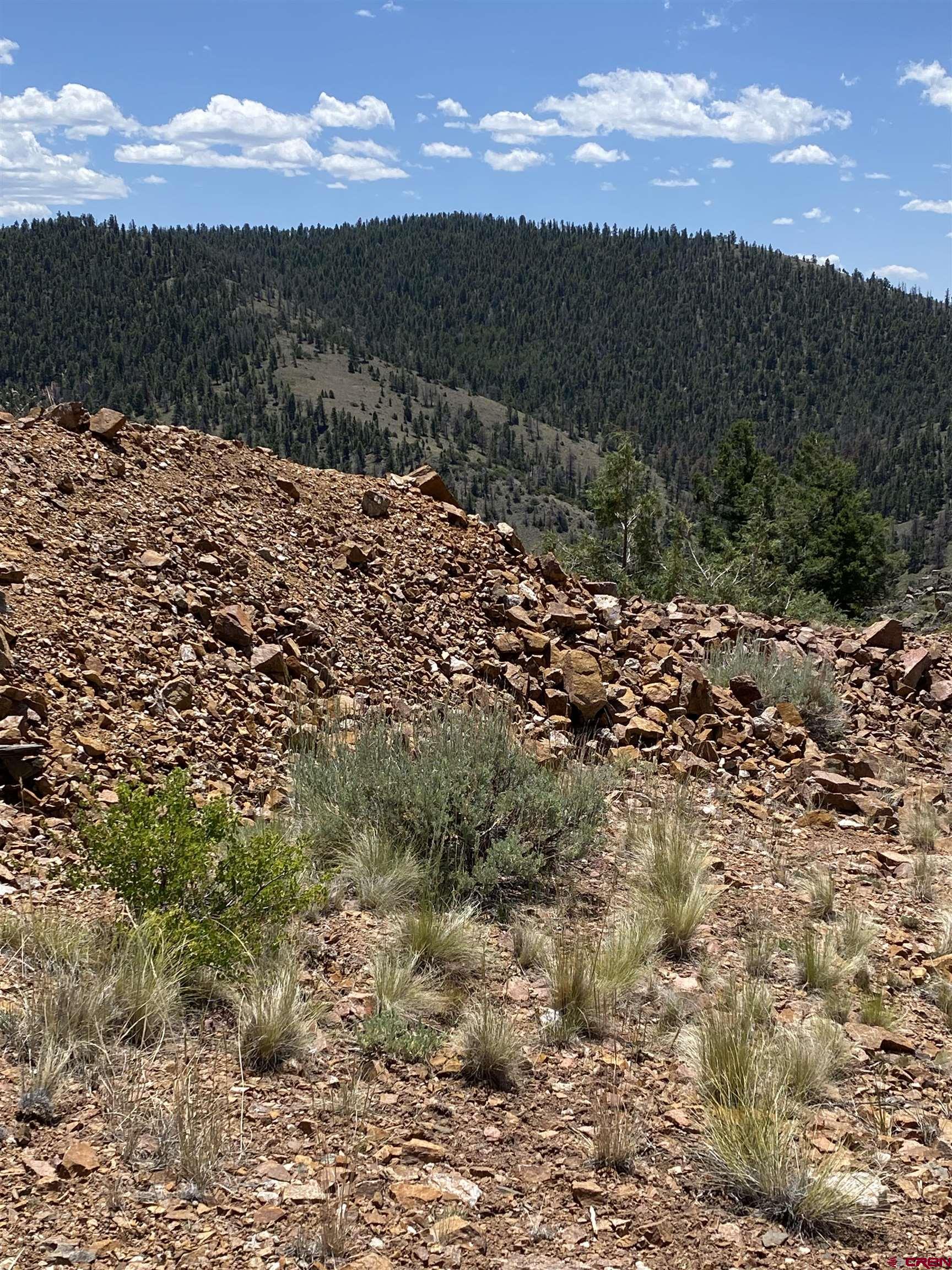 Tbd Tbd Goose Creek Road Gunnison, CO 81230 - Photo 5 of 17 a view of a yard