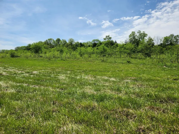 $39,900 | 0 River Pass Drive, Marshfield, MO 65706
