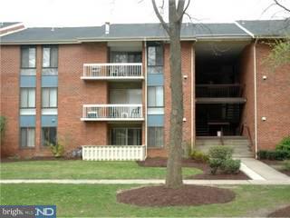 116 Van Buren Road, Unit 1 Voorhees, NJ 08043 - Photo 1 of 6 Gallery Image 1