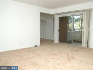 116 Van Buren Road, Unit 1 Voorhees, NJ 08043 - Photo 6 of 6 Gallery Image 6