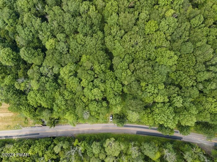 Pine Grove Road Newfoundland, PA 18445 - Photo 1 of 18