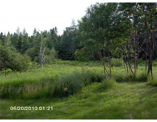 464 West Kennebec Road Machias, ME 04654 - Photo 5 of 5 Land/Lot.