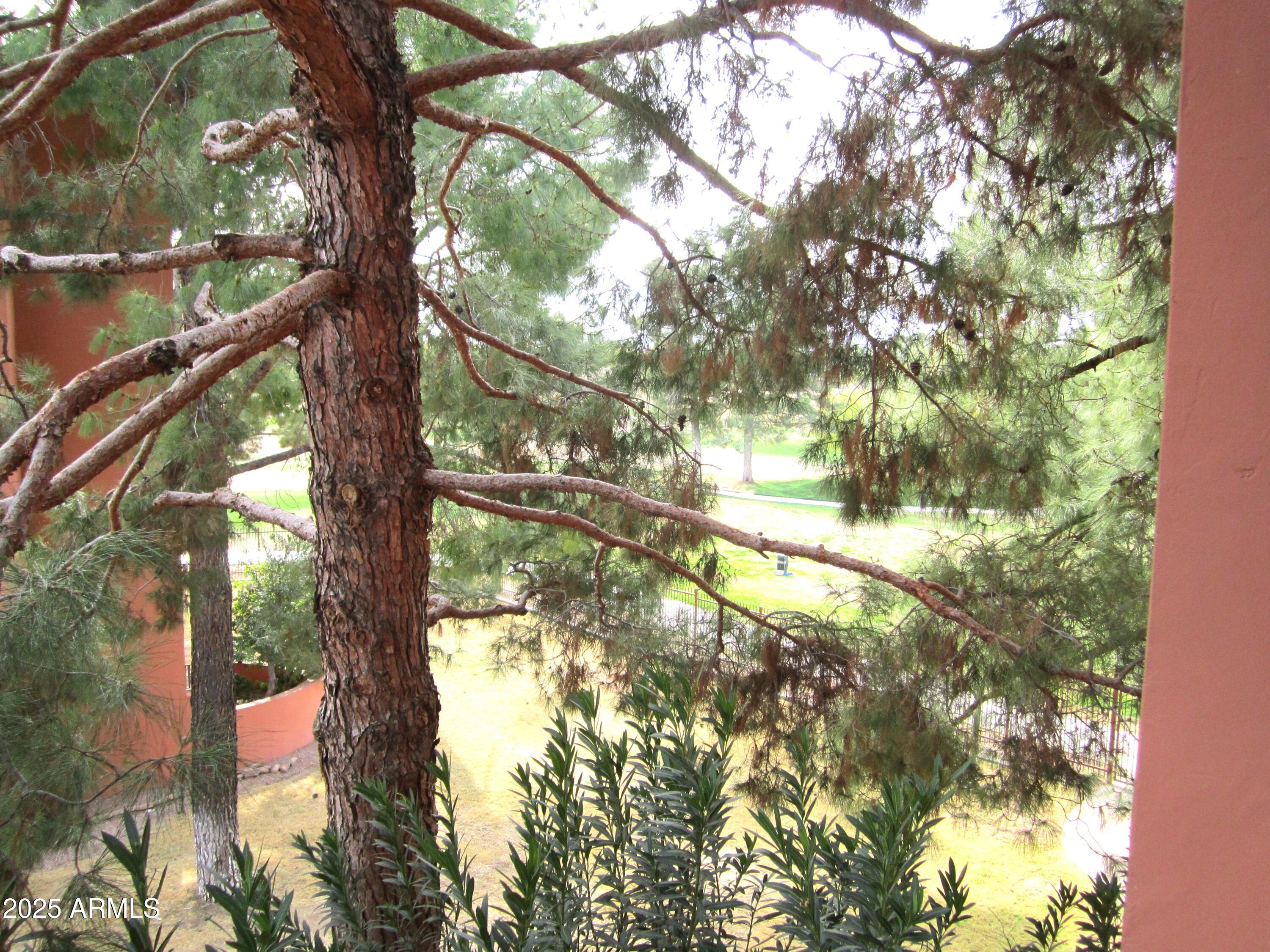 4303 East Cactus Road, Unit 331 Phoenix, AZ 85032 - Photo 18 of 34 9-331 THRU THE PINES